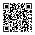 To view this 2013 Subaru Outback Lakewood CO from D1 Auto Credit, please scan this QR code with your smartphone or tablet to view the mobile version of this page.