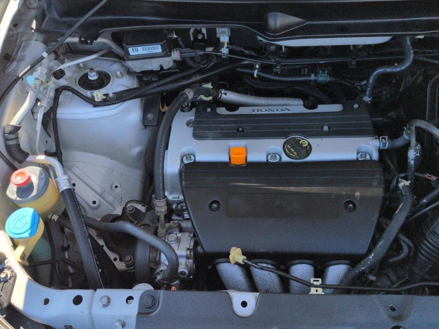 2005 SILVER Honda Element LX (5J6YH17375L) with an 4 Cyl, 2.4L engine, Manual transmission, located at 10890 W. Colfax Ave., Lakewood, CO, 80215, (303) 274-7692, 39.739914, -105.120132 - Photo#25