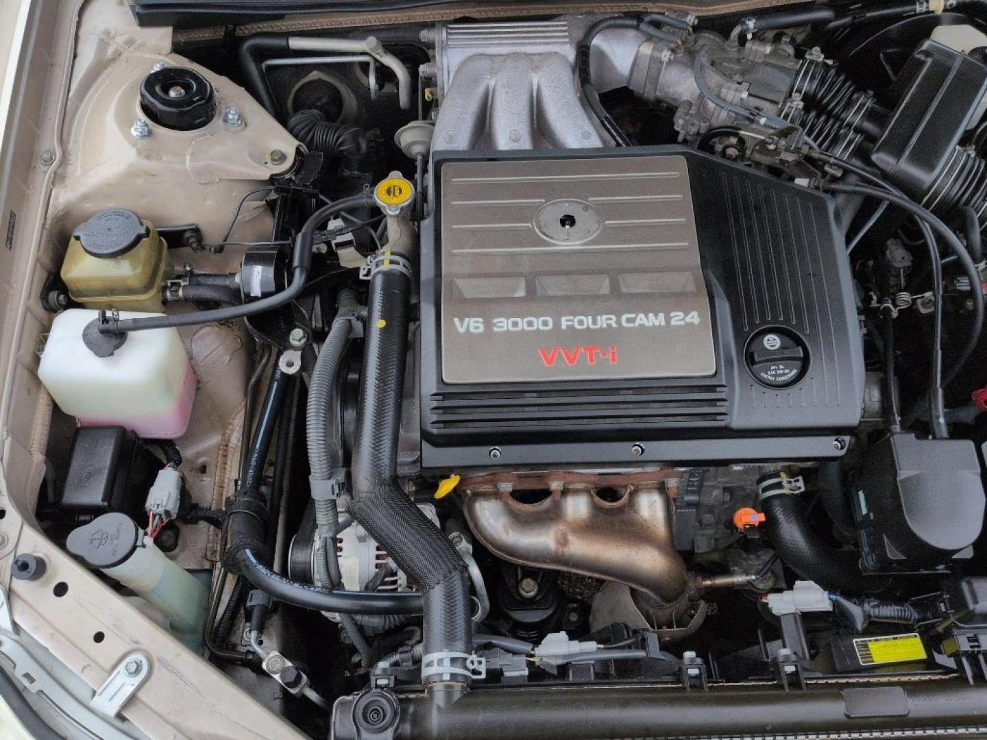 2004 GOLD /EXEMPT Toyota Avalon XL (4T1BF28B74U) with an V6, 3.0L engine, Automatic transmission, located at 10890 W. Colfax Ave., Lakewood, CO, 80215, (303) 274-7692, 39.739914, -105.120132 - Photo#24
