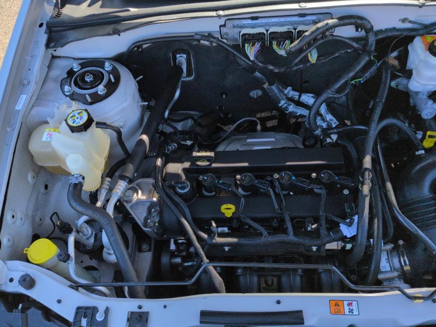 2010 SILVER Ford Escape XLT (1FMCU9D71AK) with an 4 Cyl, 2.5L engine, Automatic transmission, located at 10890 W. Colfax Ave., Lakewood, CO, 80215, (303) 274-7692, 39.739914, -105.120132 - Photo#23