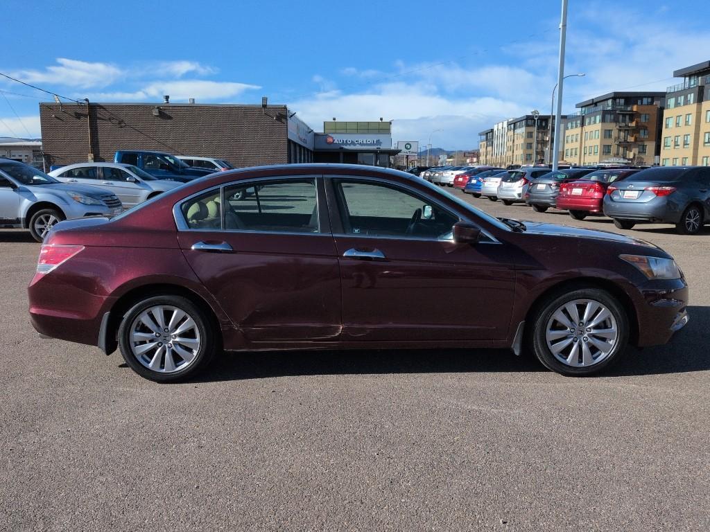 2012 BURGUNDY Honda Accord EX-L (1HGCP3F82CA) with an V6, 3.5L engine, Automatic transmission, located at 10890 W. Colfax Ave., Lakewood, CO, 80215, (303) 274-7692, 39.739914, -105.120132 - Photo#3