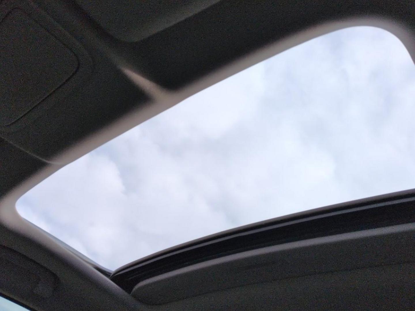 2008 GRAY Honda CR-V EX-L (JHLRE48748C) with an 4 Cyl, 2.4L engine, Automatic transmission, located at 10890 W. Colfax Ave., Lakewood, CO, 80215, (303) 274-7692, 39.739914, -105.120132 - Photo#15