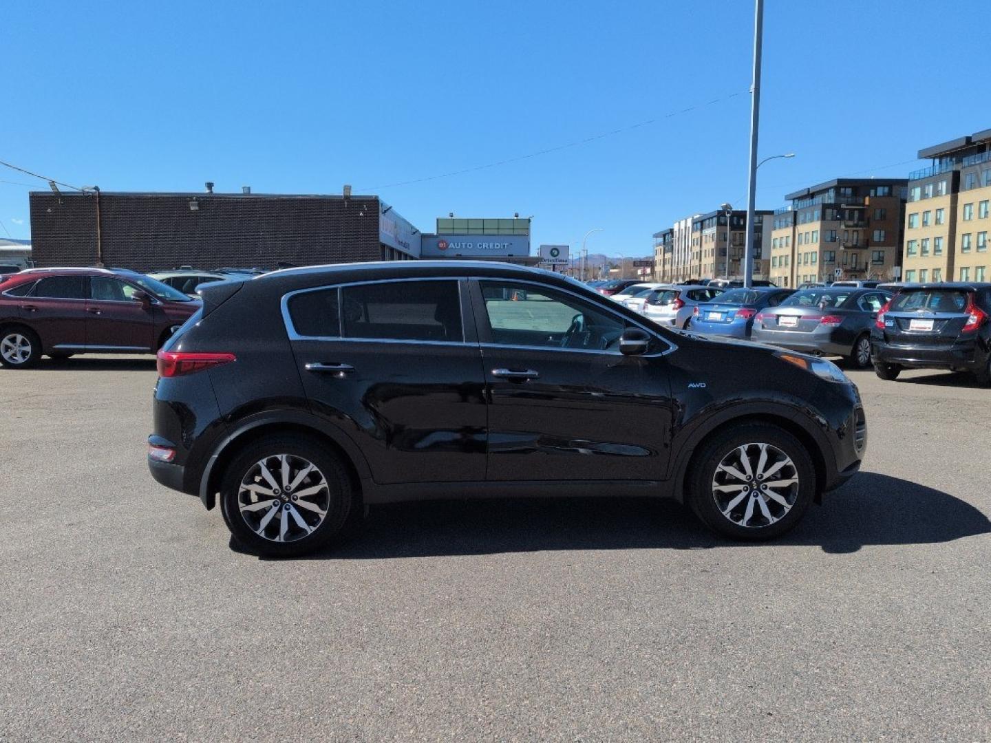 2017 BLACK Kia Sportage EX (KNDPNCAC8H7) with an 4 Cyl, 2.4L engine, Automatic transmission, located at 10890 W. Colfax Ave., Lakewood, CO, 80215, (303) 274-7692, 39.739914, -105.120132 - Photo#3