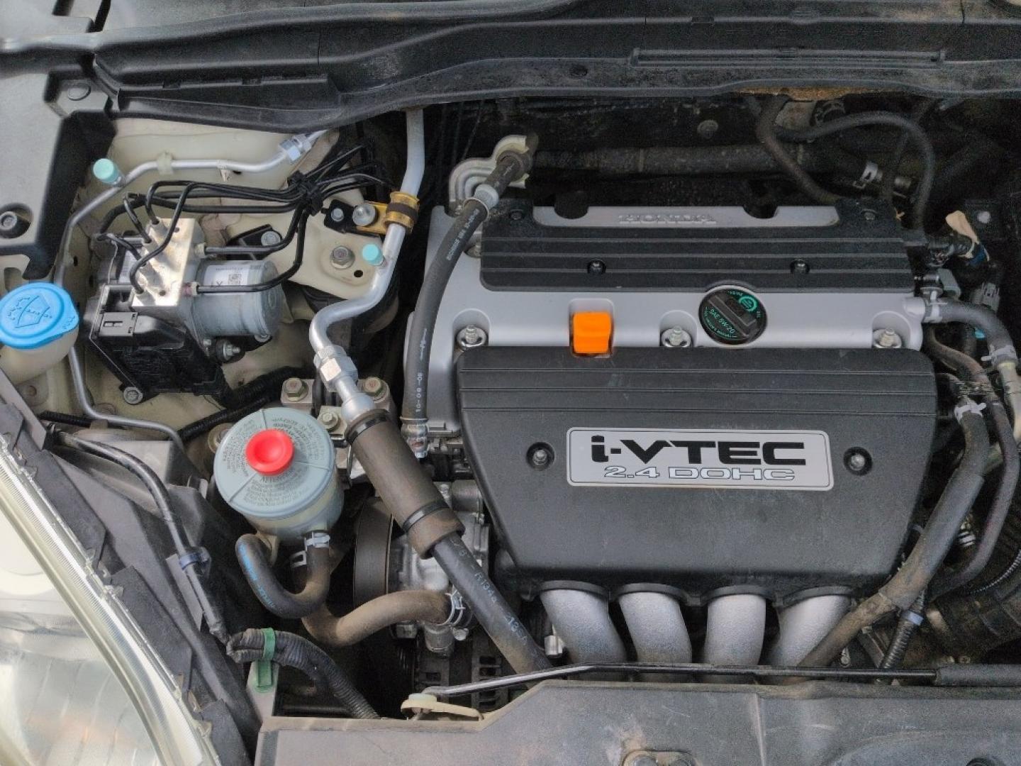 2008 WHITE Honda CR-V EX-L (5J6RE38748L) with an 4 Cyl, 2.4L engine, Automatic transmission, located at 10890 W. Colfax Ave., Lakewood, CO, 80215, (303) 274-7692, 39.739914, -105.120132 - Photo#22