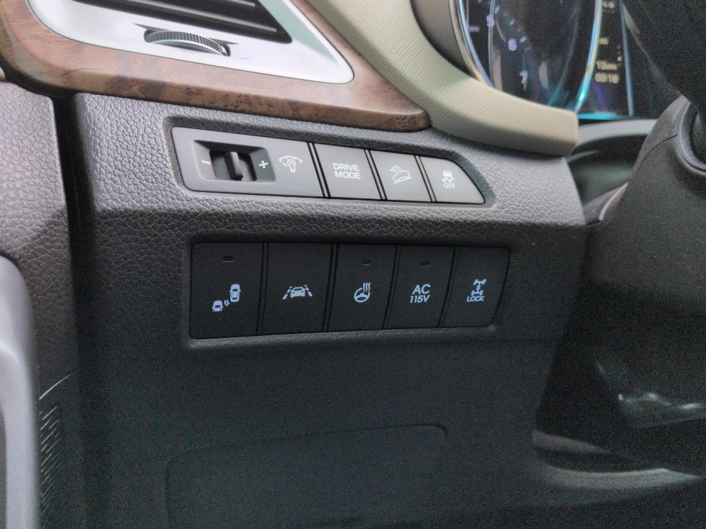 2017 BROWN Hyundai Santa Fe XL Limited (KM8SRDHF9HU) with an V6, 3.3L engine, Automatic transmission, located at 10890 W. Colfax Ave., Lakewood, CO, 80215, (303) 274-7692, 39.739914, -105.120132- Photo#12