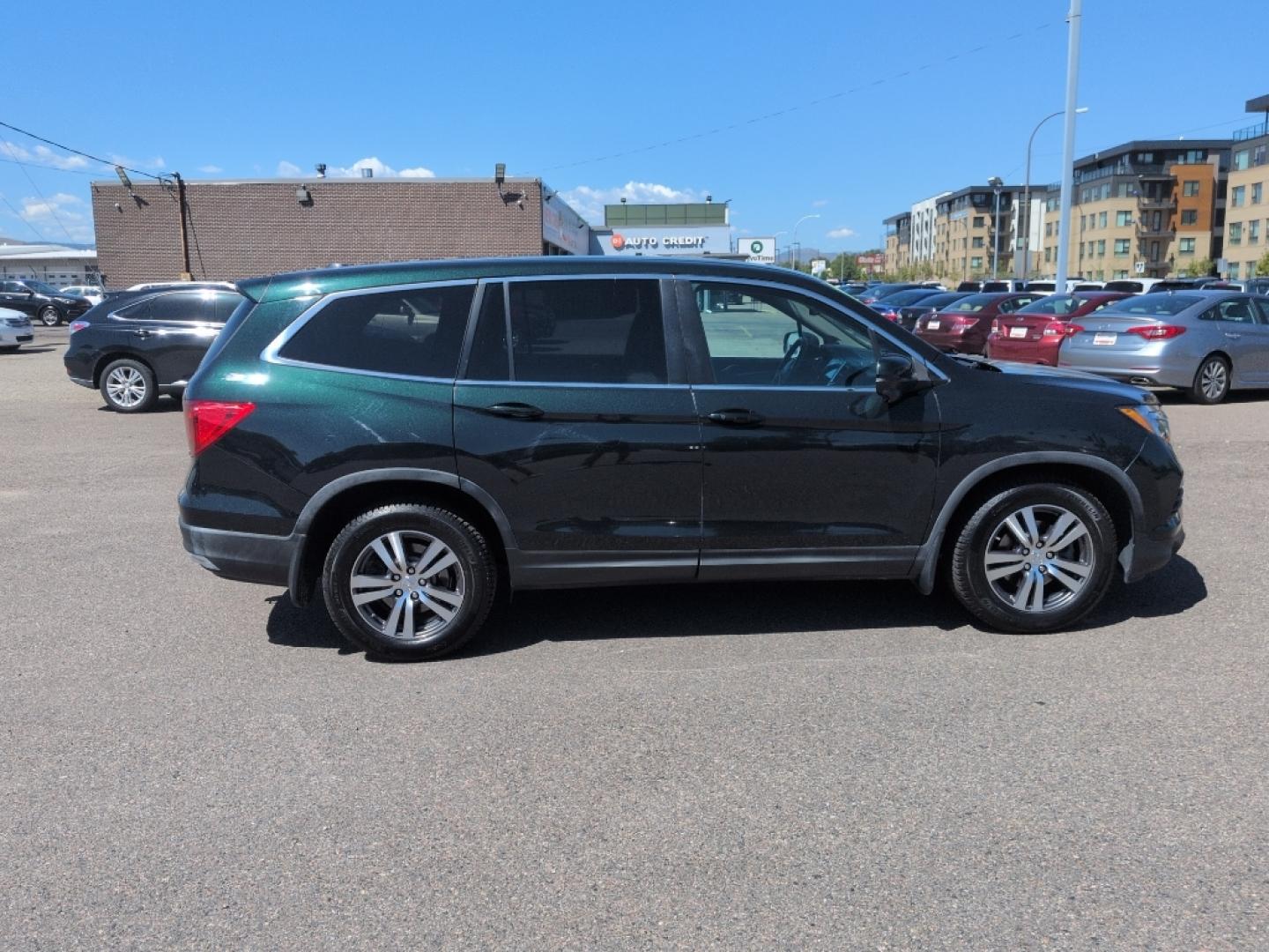 2016 GREEN Honda Pilot EXL (5FNYF6H59GB) with an V6, 3.5L engine, Automatic transmission, located at 10890 W. Colfax Ave., Lakewood, CO, 80215, (303) 274-7692, 39.739914, -105.120132- Photo#3