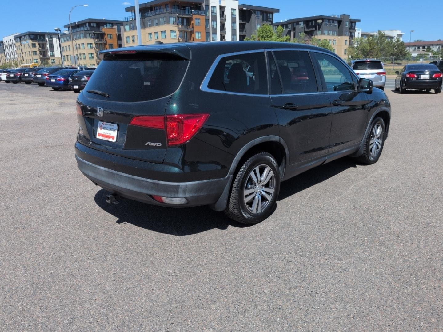 2016 GREEN Honda Pilot EXL (5FNYF6H59GB) with an V6, 3.5L engine, Automatic transmission, located at 10890 W. Colfax Ave., Lakewood, CO, 80215, (303) 274-7692, 39.739914, -105.120132- Photo#4